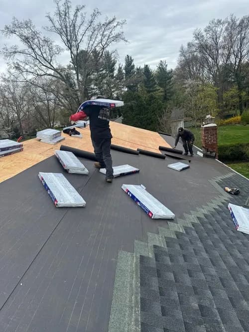 Action roofing LLC