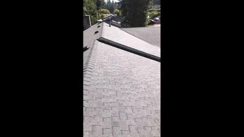 Affordable Roof Cleaning - Photo 3