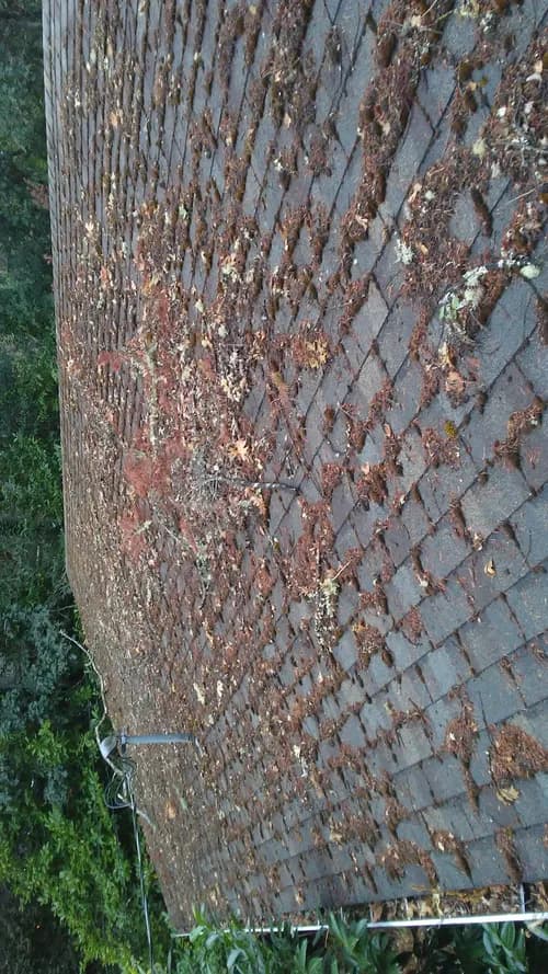 Alpha Roof Care - Photo 3