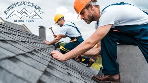 Alpine Roofing Guys - Photo 1