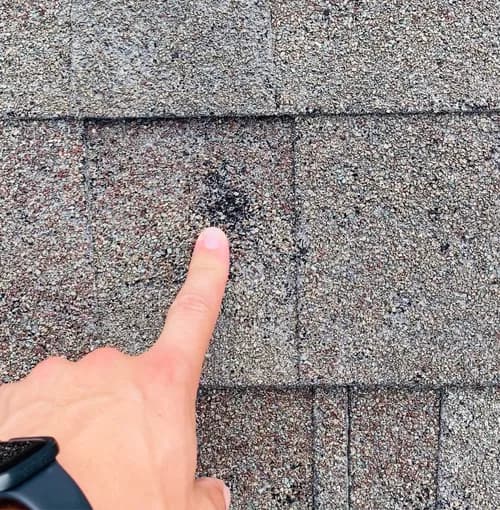 American Elite Roofing