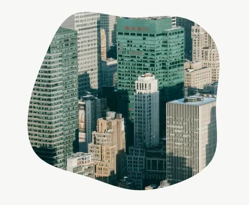 Andrew & Sons Roof Repair