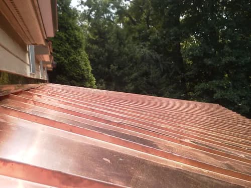 Argentina and Son Roofing - Photo 3