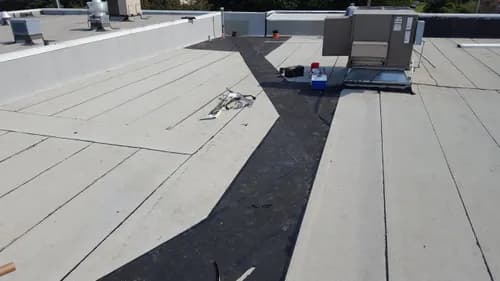 Argentina and Son Roofing - Photo 4