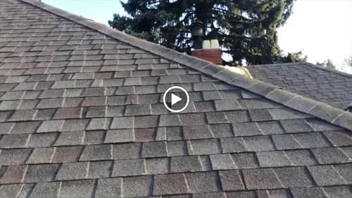 BCZC Roofing and Exteriors - Photo 3