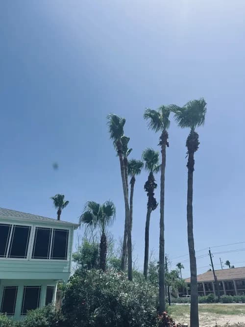 BD Property Management