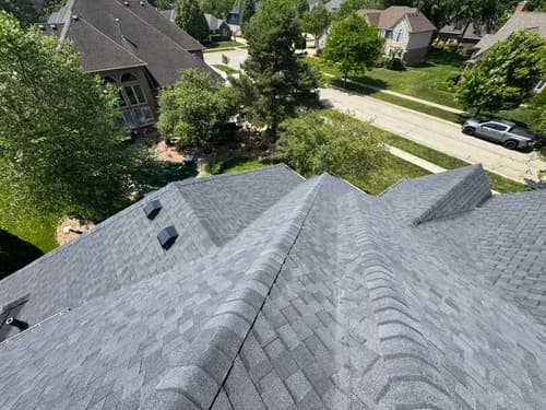 Bella's Roofing