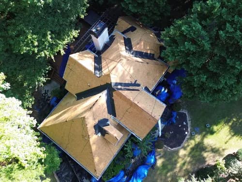 Blue Dollar, LLC - Photo 4