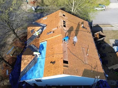 Blue Dollar, LLC - Photo 3