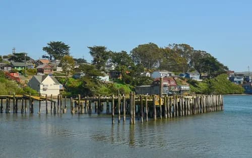 Bodega Bay Roofing, Inc. - Photo 1