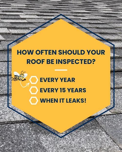 Bumble Roofing of Central Austin - Photo 2