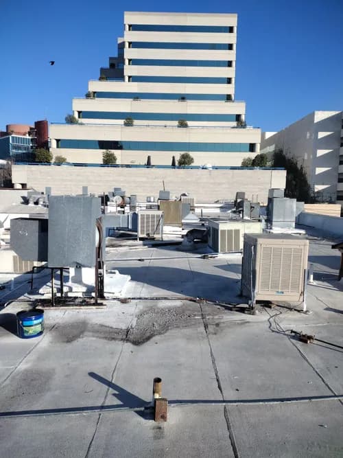 California Green Roofing - Photo 4