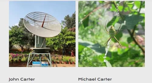 Carter Brothers Roofing - Photo 1