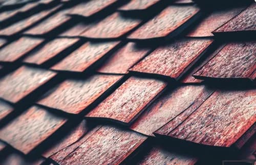 Chavez Brothers Roof Repair