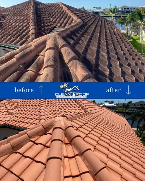 Clean Roof - Photo 2