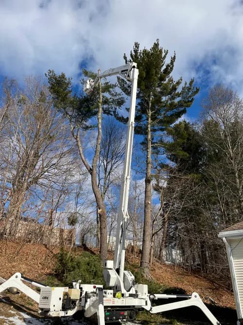 Colonial Exteriors - Photo 5