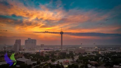 CriticalEdge Drone Services