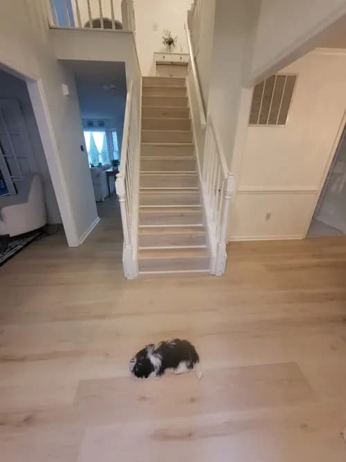 CS1 Remodeling LLC - Photo 5