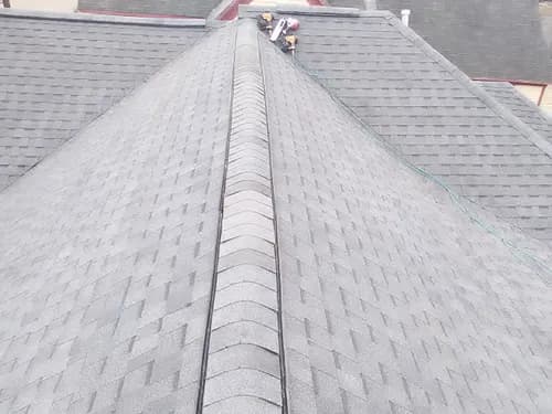 Daniel's roofing services