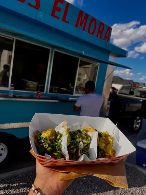 DM Roofing & Construction Inc.