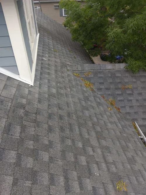 Donny's Home Improvement - Photo 3