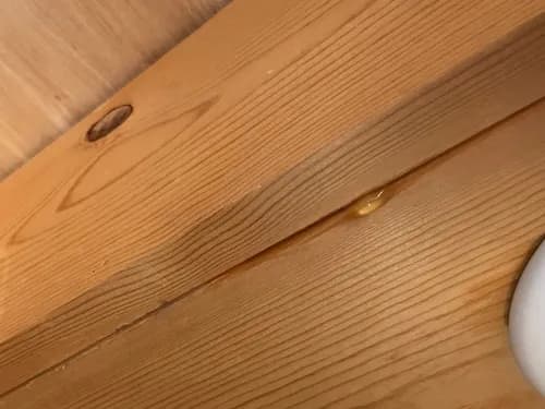 Dynamic Builders - Photo 3