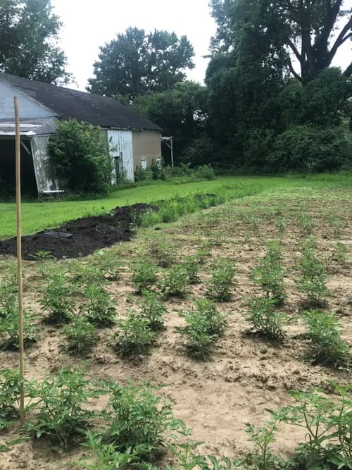 Eric's Roofing - Photo 3