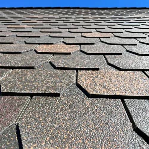 Everest Restoration - Photo 1