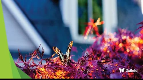 GreenLiving - Photo 4