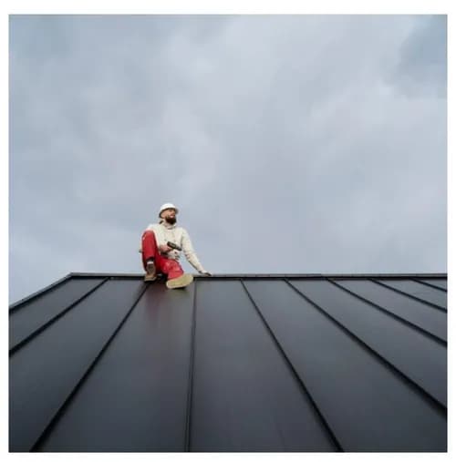 Hayes & Sons Roof Repair - Photo 1