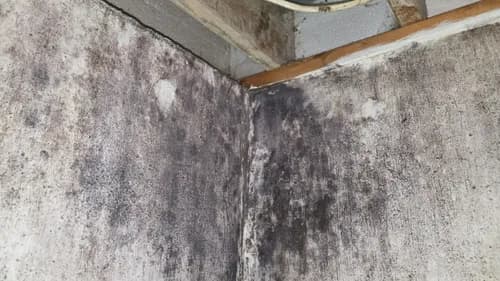 HI VIZ HOME INSPECTION - Photo 2