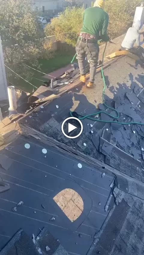 Hive Roofing and Solar - Photo 3