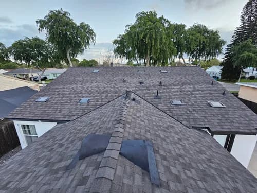 Immaculate Services - Photo 1