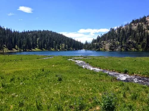 Infinity Roofing & Siding - Photo 3