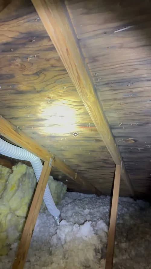 Insideout Inspections Plus - Photo 4