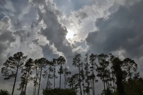 IQA Home Inspections, Inc. - Photo 1