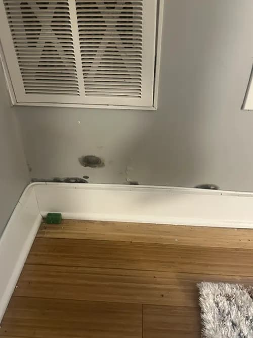 J&B Discovery Inspections - Photo 3