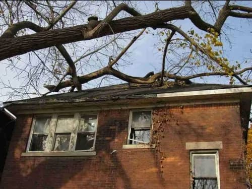 Jimmy Roofing - Photo 4