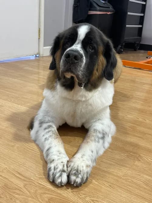 K&H Exteriors - Photo 2