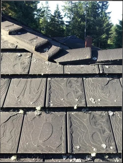 Lake Michigan Roofing Pro - Photo 5