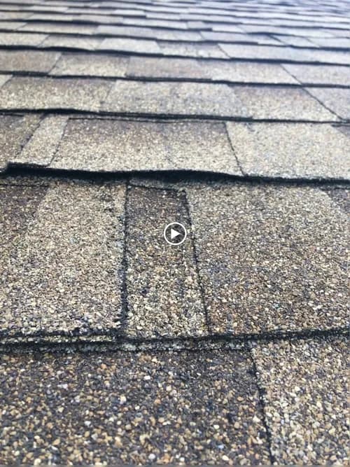 Lion Roofing Company - Photo 3