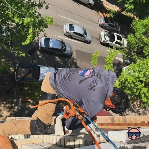 Little Pigs Roofing - Photo 2