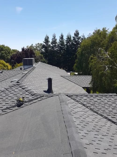 Martin Moran Roofing - Photo 2