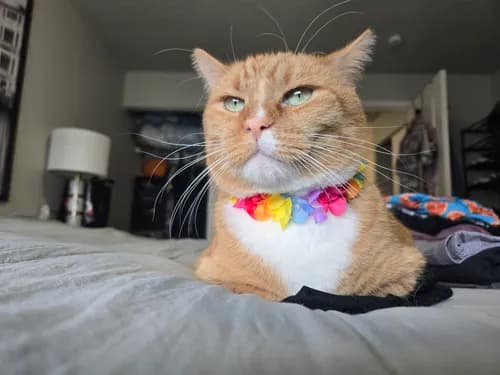 Metro Home Inspection - Photo 4