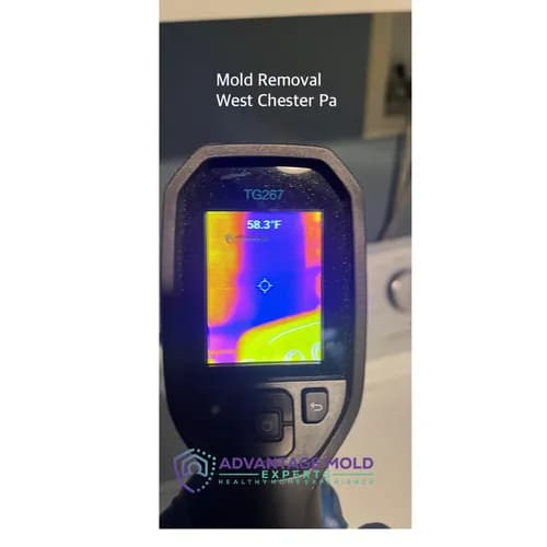 Moisture Master Pros - Photo 3