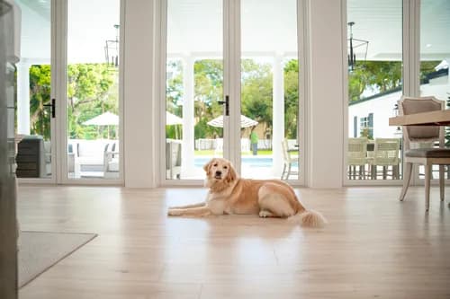 Morgan Exteriors - Photo 4