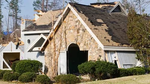 Ninja Roofs - Photo 5