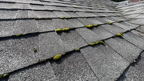 Otukan Roofing Company Boston - Photo 3