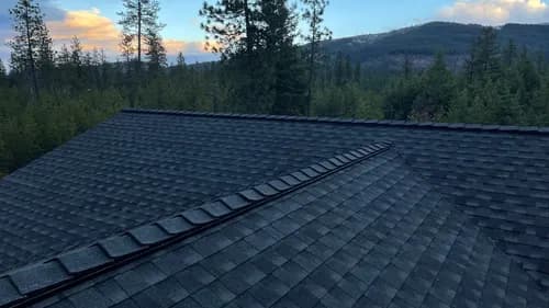 Paradise Roofing