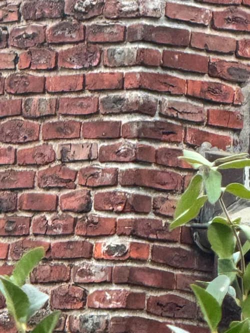 Paragon Chimney and Roofing - Photo 2